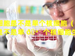 干细胞是不是单个核细胞（干细胞是不是单 🪴 个核细胞生物）
